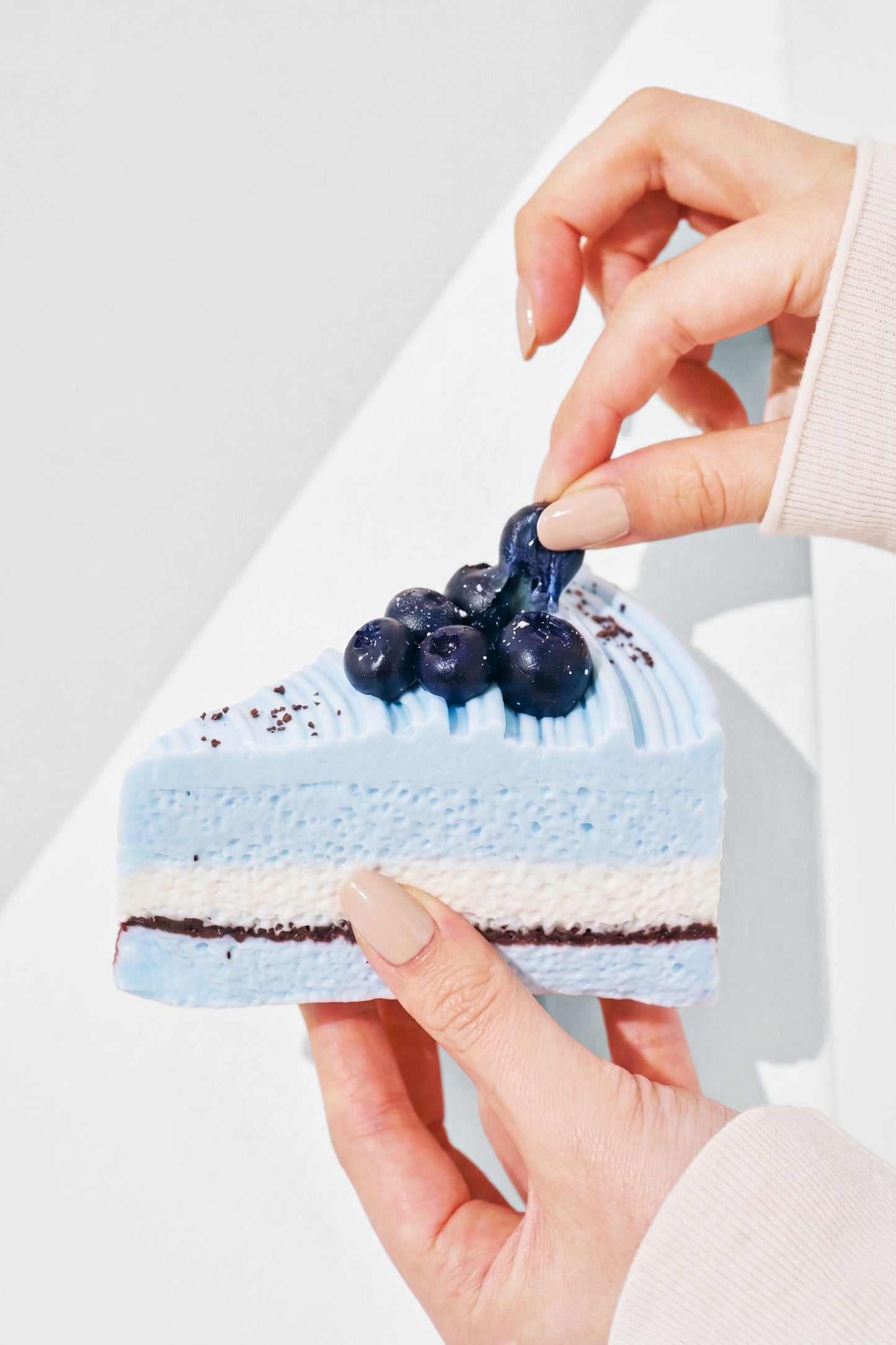スウィートスクイーズ ブルーベリーケーキ