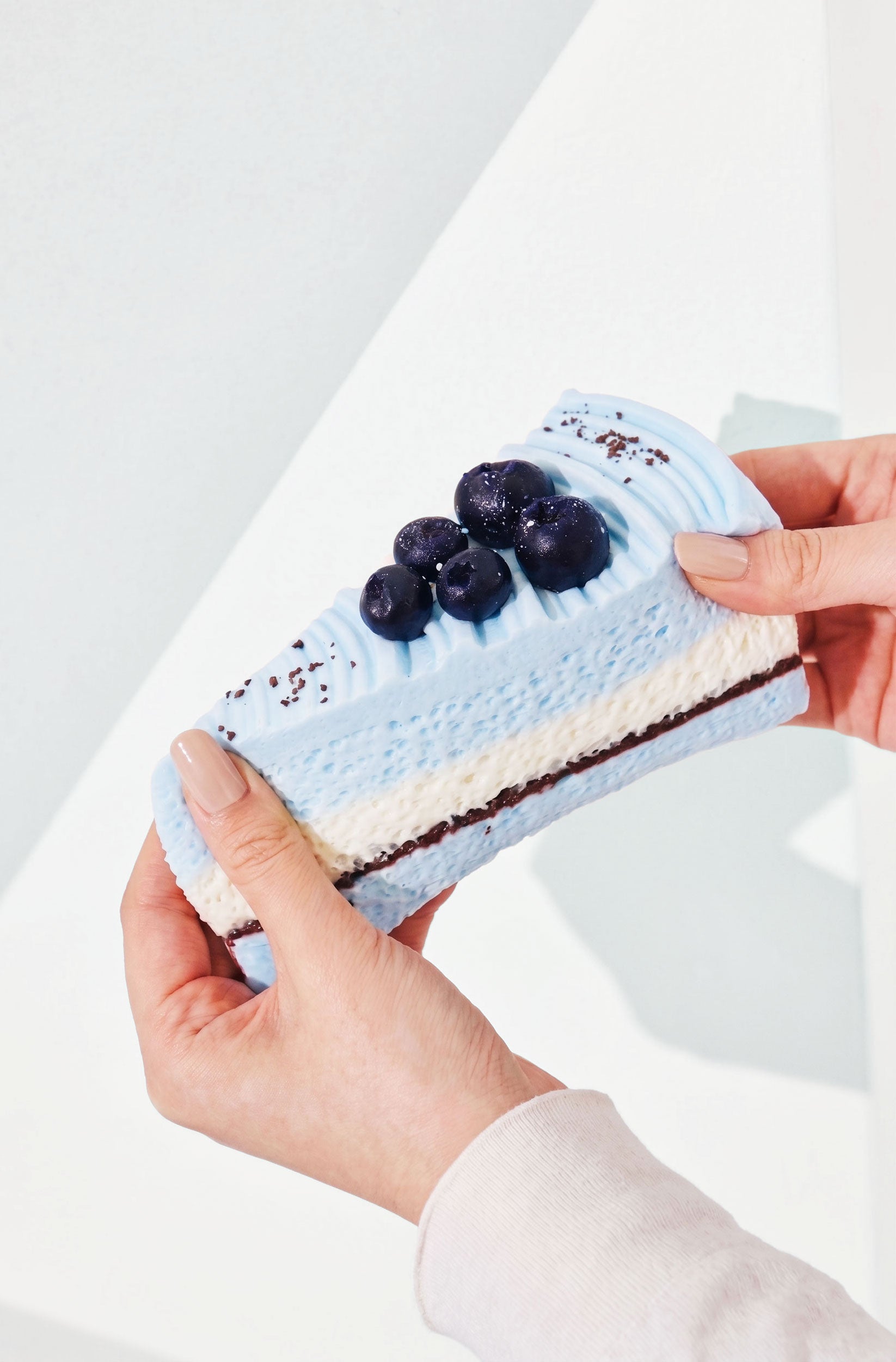 スウィートスクイーズ ブルーベリーケーキ